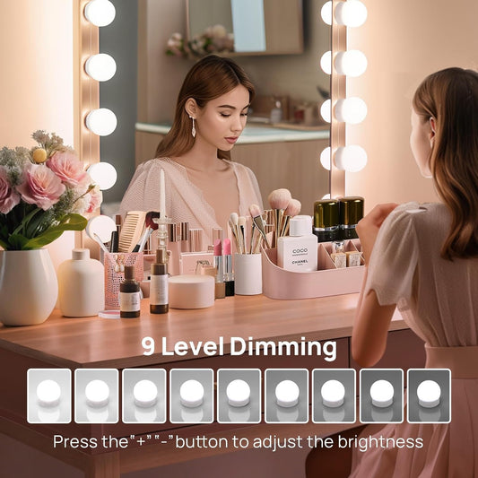 10 Led Vanity Mirror Lights